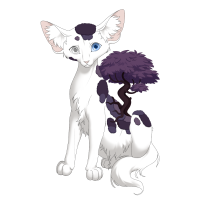 Purple Creeping Thicket on a Longhair Kit