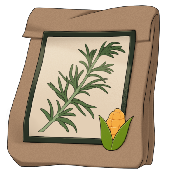 File:Rosemary Seed.png