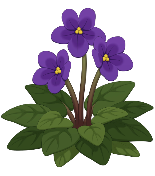 File:Violet Patch.png
