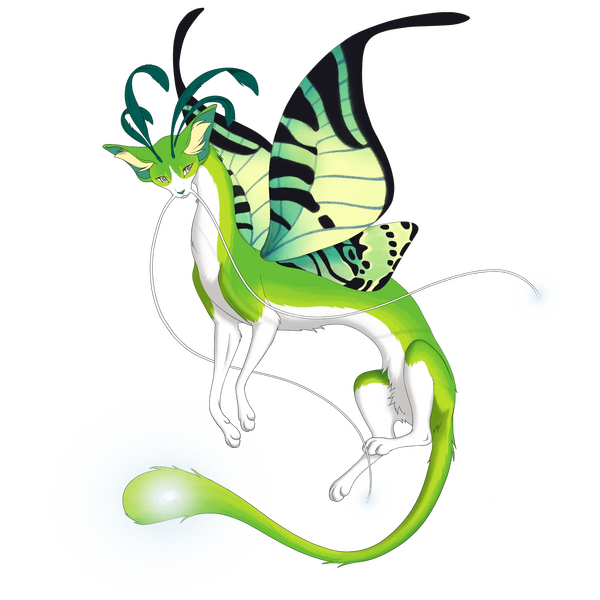 File:Moontail Silkwing Tuxedo.webp