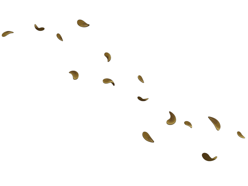 File:Golden Windblown Petals.png