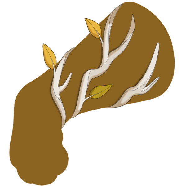 File:Yellow Creeping Vine.png