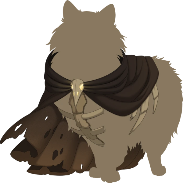 File:Brown Necromantic Cloak.png
