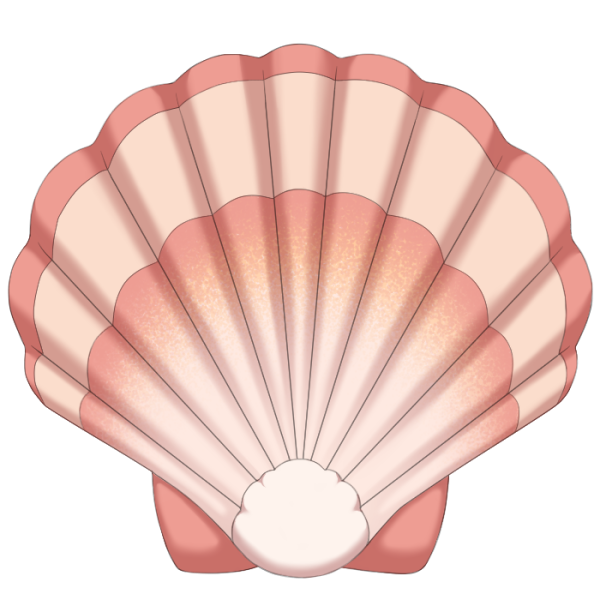 File:Seashell.png
