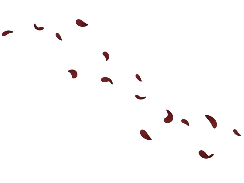 File:Red Windblown Petals.png