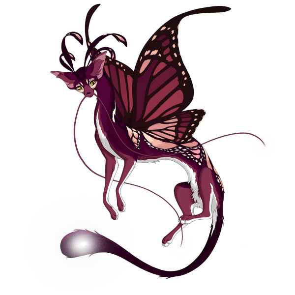 File:Butterfly Ribbon V Dahlia.webp