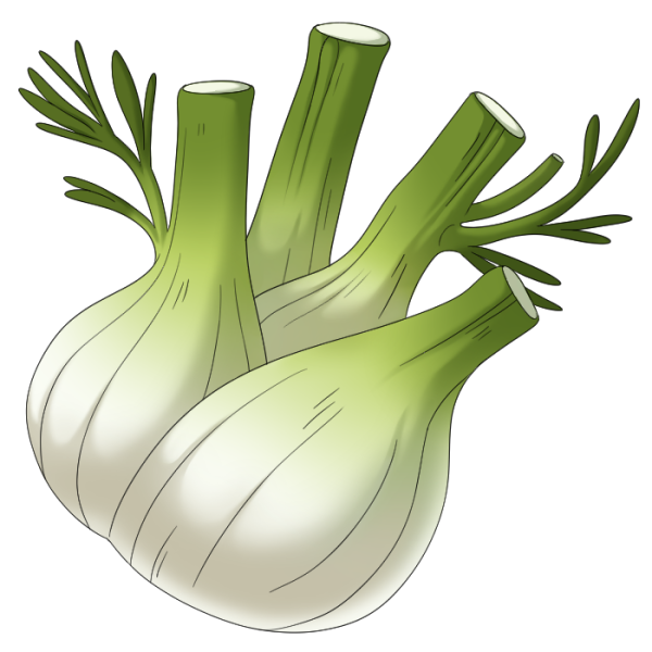 File:Fennel.png