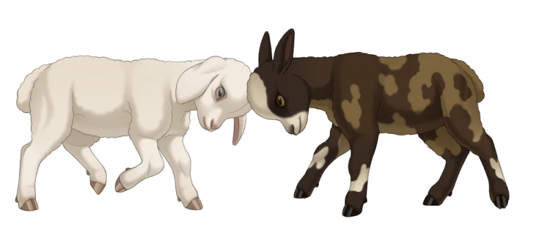 File:Playing Lambs.png