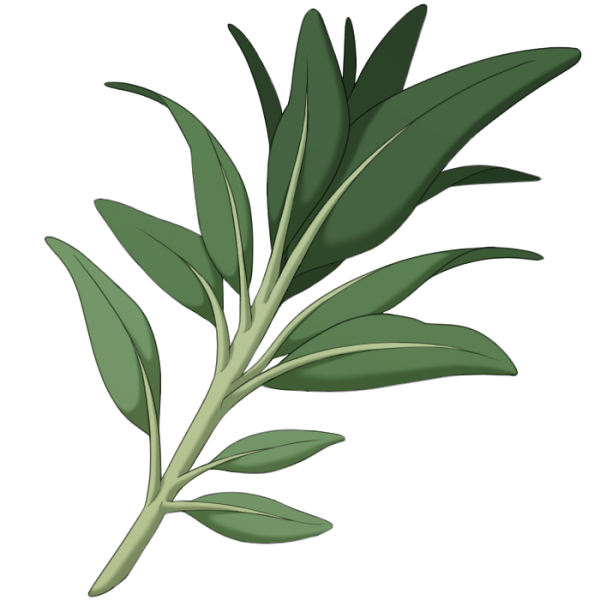 File:Sage.png