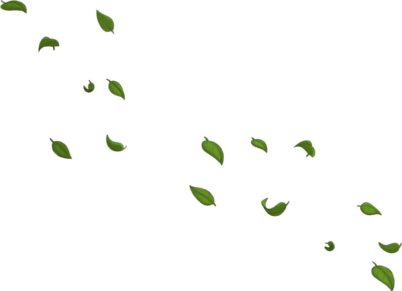 File:Green Windblown Leaves.png