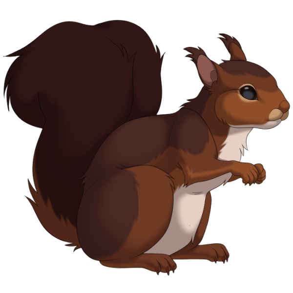 File:Red Squirrel.png