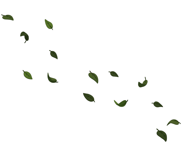 File:Dark Green Windblown Leaves.png
