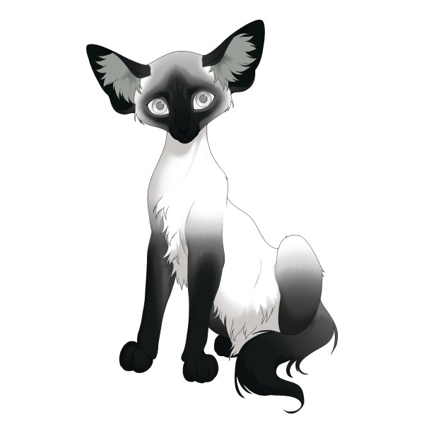 File:Beetle Minkface Longhair Kit.png