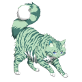 Mint Tiger on a mars Ragdoll