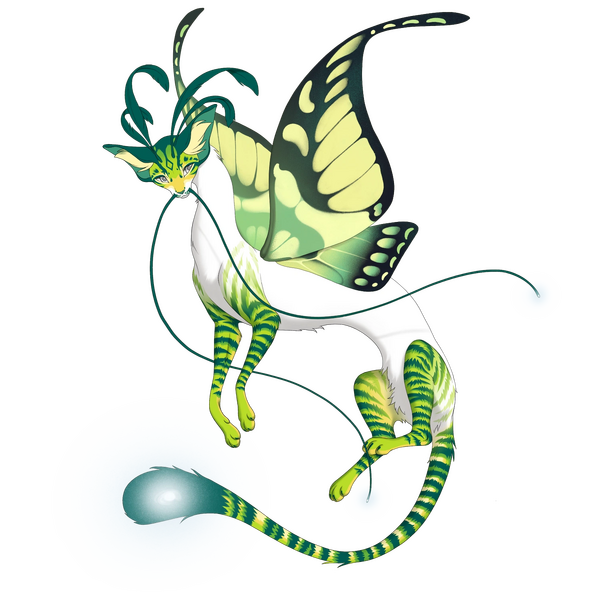 File:Moontail Silkwing Tigerface.webp